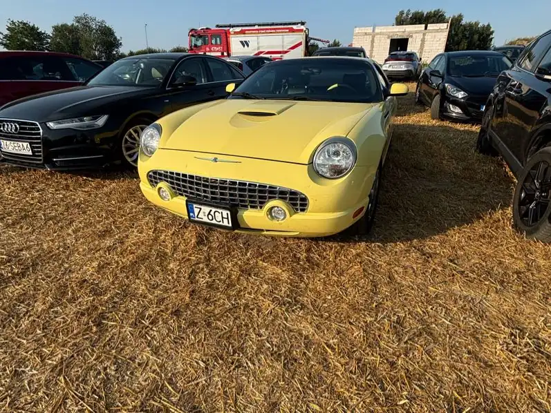 Ford Thunderbird (2002) spotted in Kołobrzeg, Poland