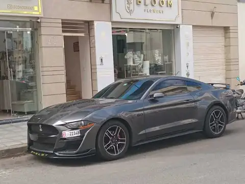 Ford Mustang Shelby GT500 spotted in Kenitra
