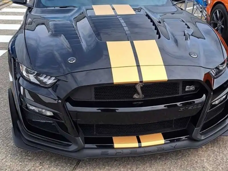 Ford Mustang Shelby GT500 spotted in Darling