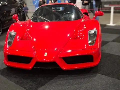 Ferrari Enzo (2002) spotted in 's-Hertogenbosch, The Netherlands