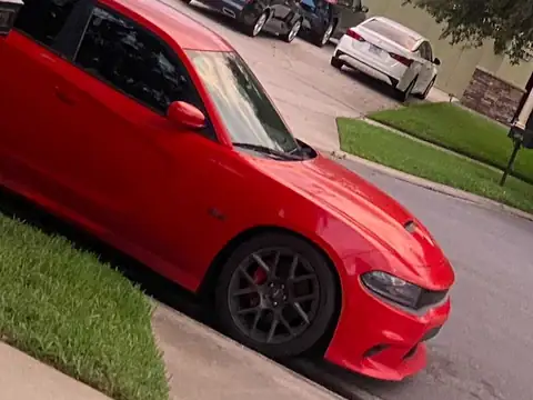 Dodge Charger (2017) spotted in Orlando, United States