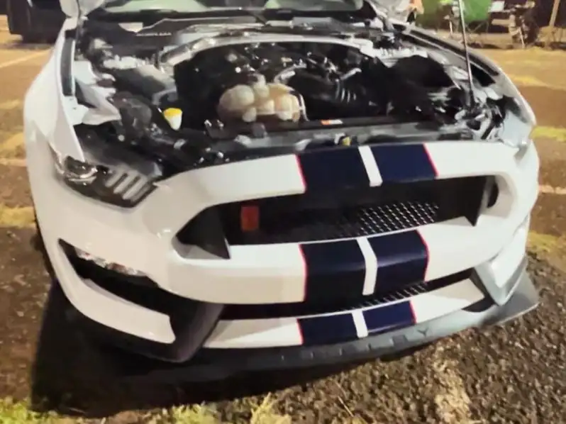 Ford Mustang Shelby GT350 (2020) spotted in Kahului, United States