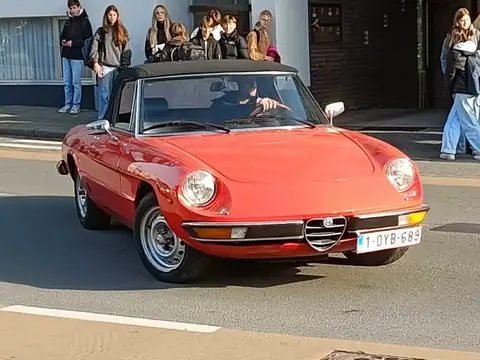 Alfa Romeo Spider spotted in Gent