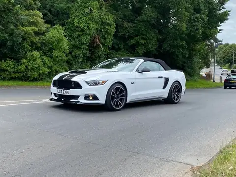Ford Shelby Mustang GT500 (2017) spotted in Fort St. John, Canada