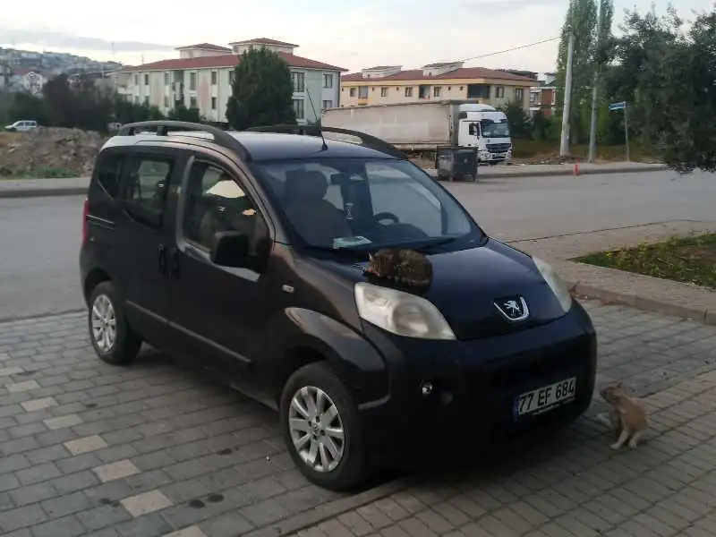 Peugeot Bipper (2011) spotted in Yalova, Turkey