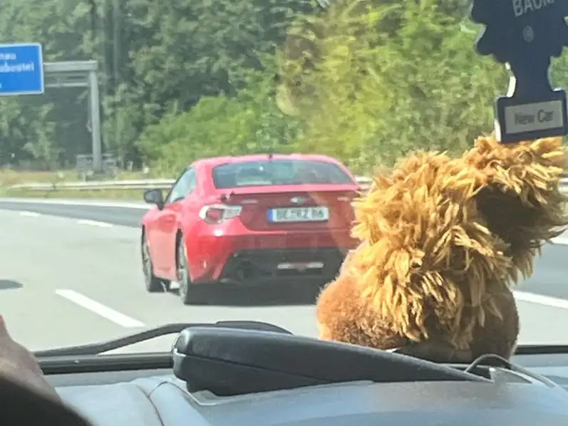 Toyota GT86 (2017) spotted in Heidenau, Germany
