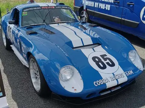 Cobra Cobra (1960) spotted in Fontenay-le-Comte, France