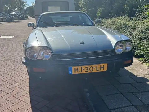 Jaguar XJ-S (1984) spotted in Zoetermeer, The Netherlands