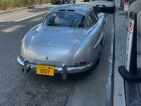 Mercedes-Benz 300 SL (1955) spotted in Los Angeles, United States