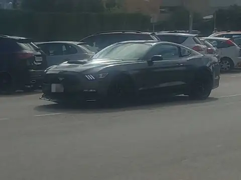Ford Mustang (2015) spotted in Benidorm, Spain