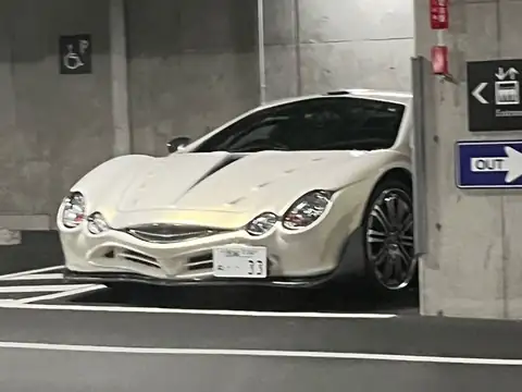 Mitsuoka Orochi (2014) spotted in Ise, Japan