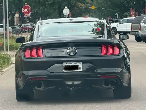 Ford Mustang Bullitt (2020) spotted in Norfolk, United States