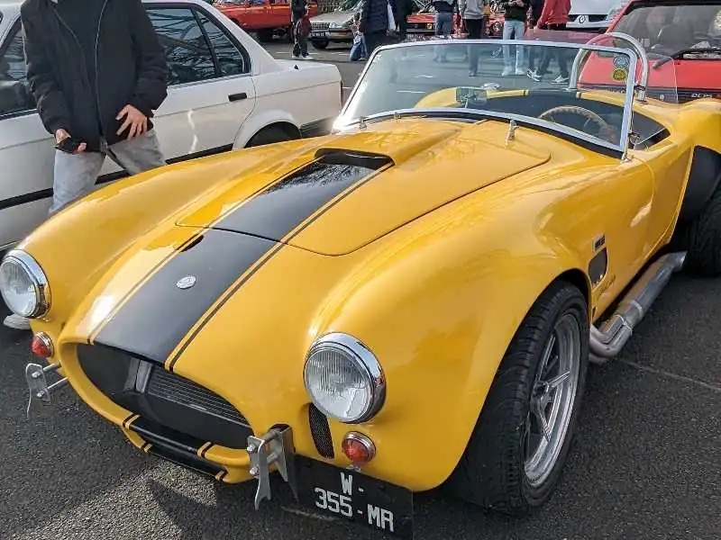 AC Cobra (1960) spotted in Nantes, France