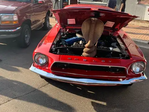 Ford Mustang Shelby GT350 spotted in Charlottetown