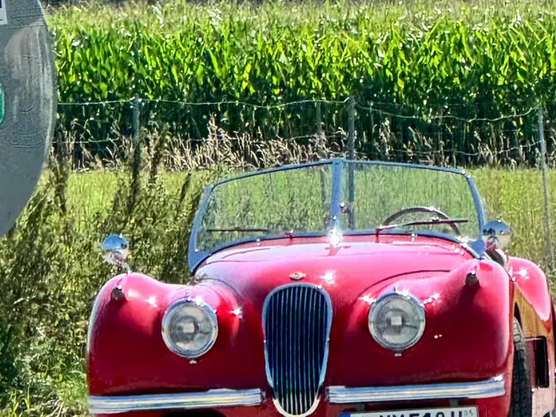 Jaguar XK120 (1950) spotted in Munich, Germany