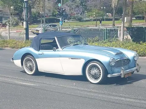 Austin Healey 100-4 (1954) spotted in Tel Aviv, Israel