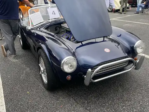 AC Cobra 289 (1965) spotted in South Fulton, United States