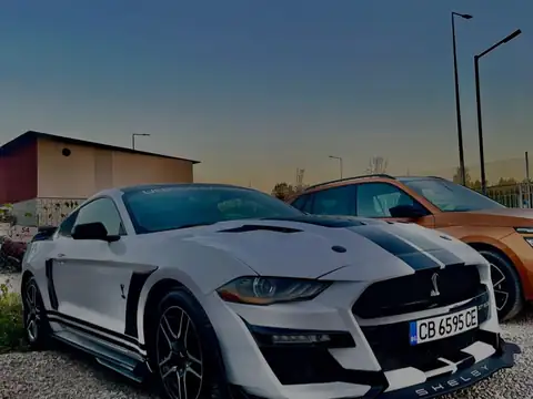 Ford Mustang Shelby GT500 (2020) spotted in Sofia, Bulgaria