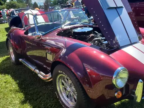 Ford Shelby Cobra (1965) spotted in Milesburg, United States