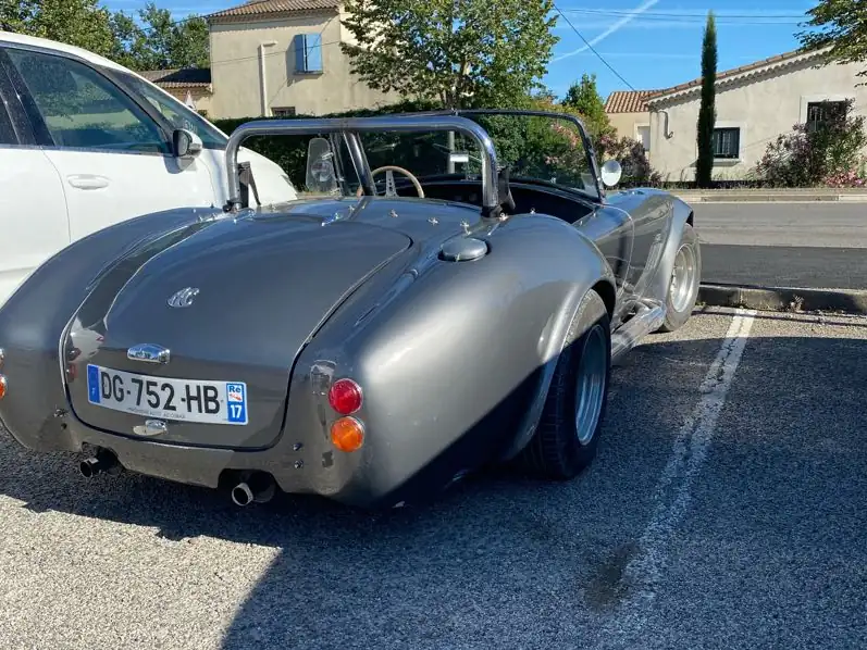 AC Cobra (1965) spotted in Avignon, France