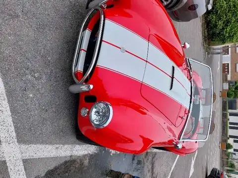 AC Cobra (1960) spotted in Lille, France