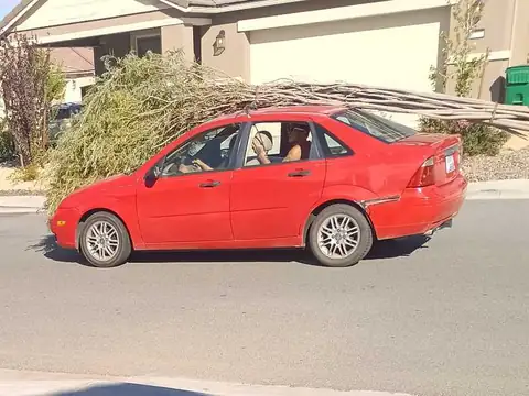 Ford Focus (2005) spotted in Sparks, United States