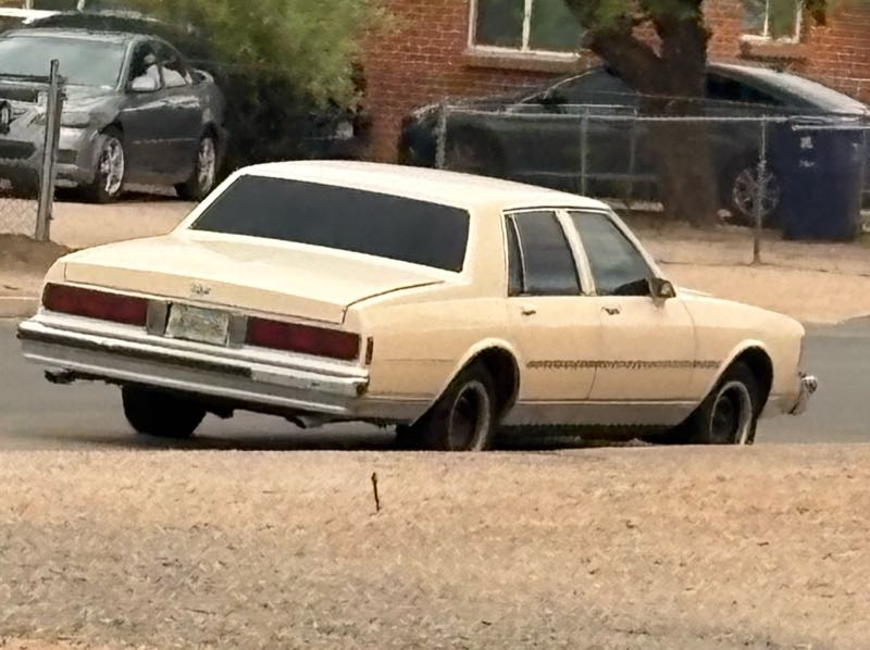 Chevrolet Caprice spotted in Tucson