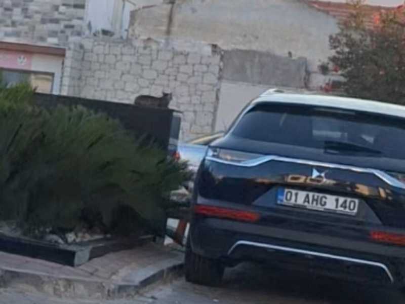 DS Automobiles DS7 Crossback spotted in Çeşme