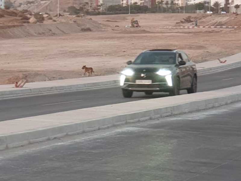 DS Automobiles DS7 Crossback spotted in Agadir