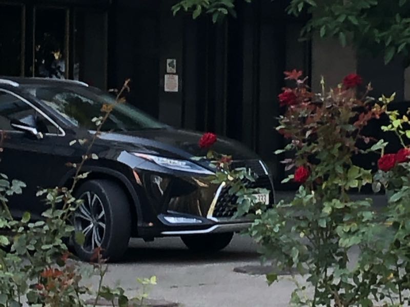 Lexus NX spotted in Bucovăţ