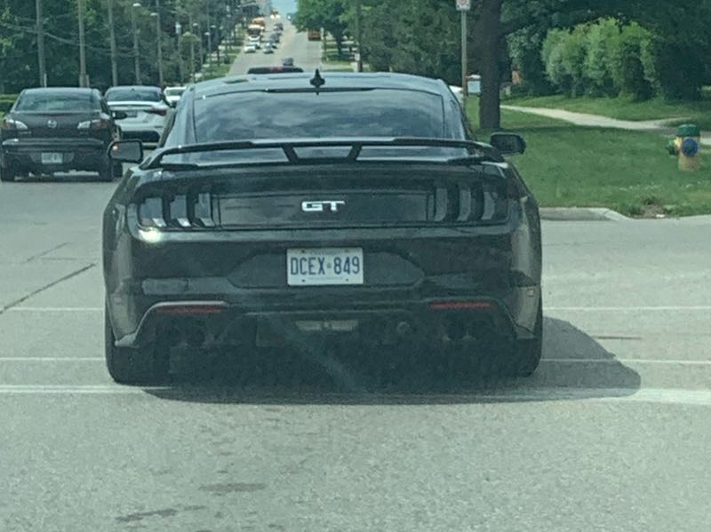 Ford Mustang GT spotted in Guelph