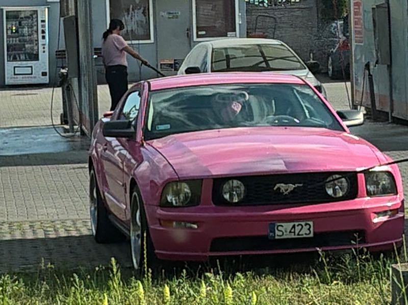 Ford Mustang (2005) spotted in Sosnowiec, Poland