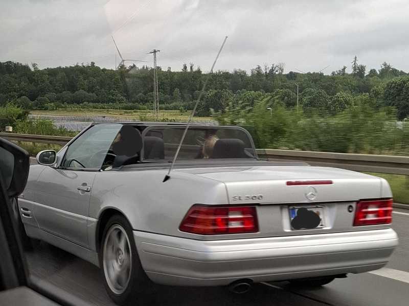 Mercedes-Benz SL 500 spotted in Kassel