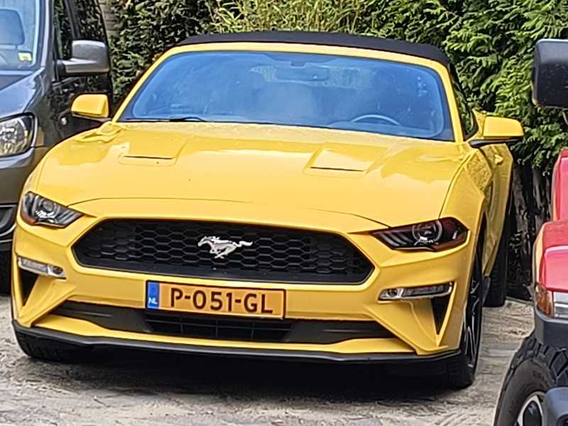 Ford Mustang spotted in Zeist