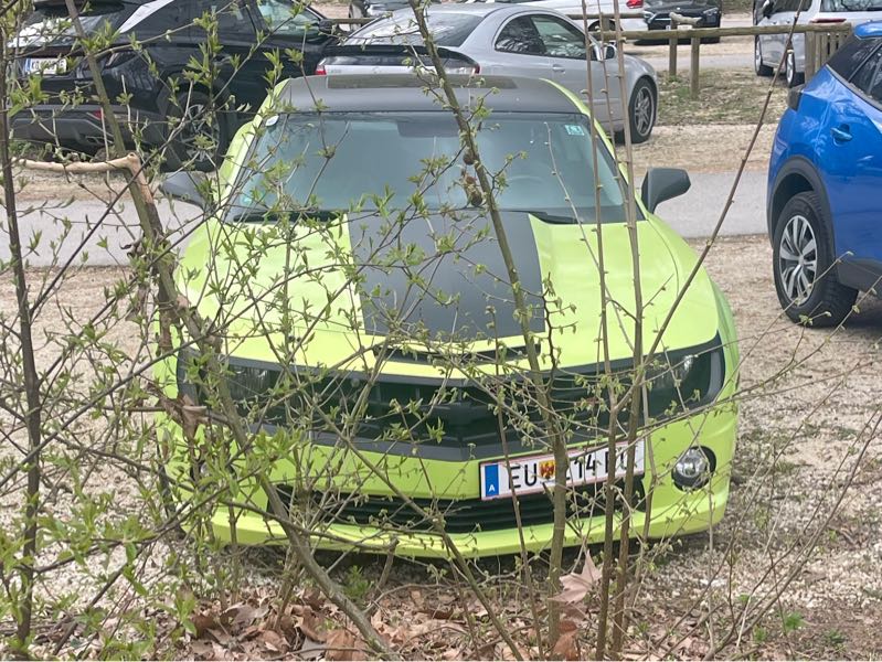Chevrolet Camaro (2015) spotted in Ernstbrunn, Austria