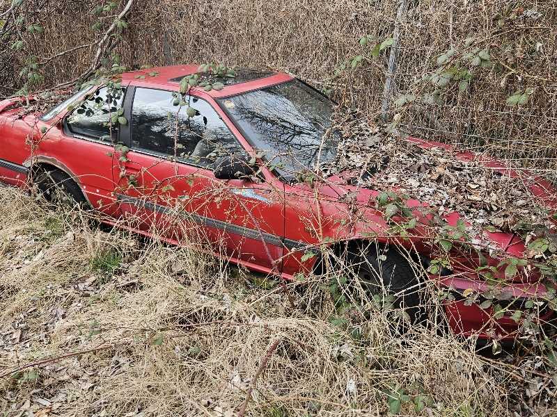 Honda Prelude spotted in Zossen