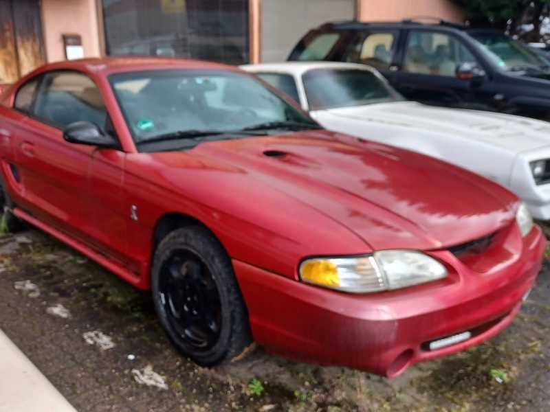 Ford Mustang Cobra spotted in Heidelberg