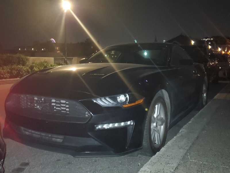Ford Mustang (2020) spotted in Montréal, Canada