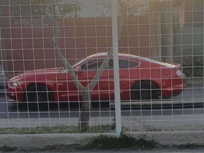Ford Mustang (2015) spotted in Neuquén, Argentina
