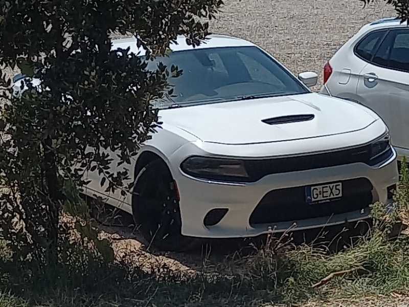 Dodge Charger (2019) spotted in Žuljana, Croatia