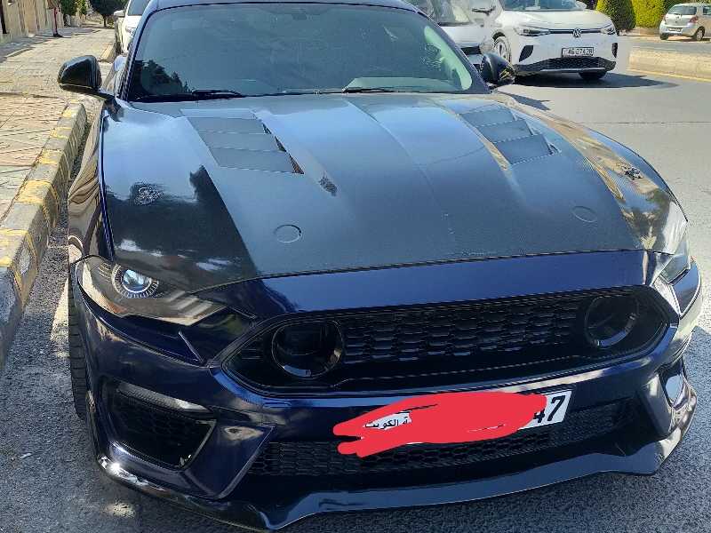 Ford Mustang spotted in Cottonport