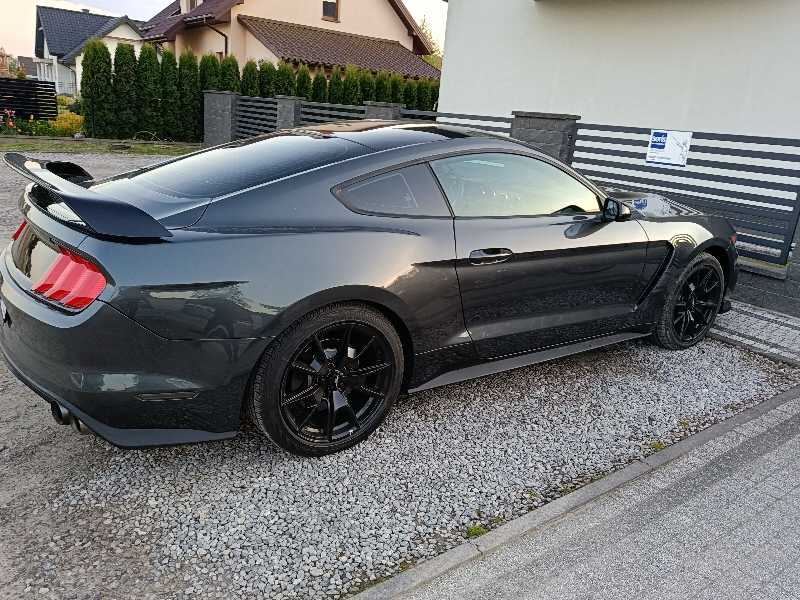 Ford Mustang spotted in Zwoleń