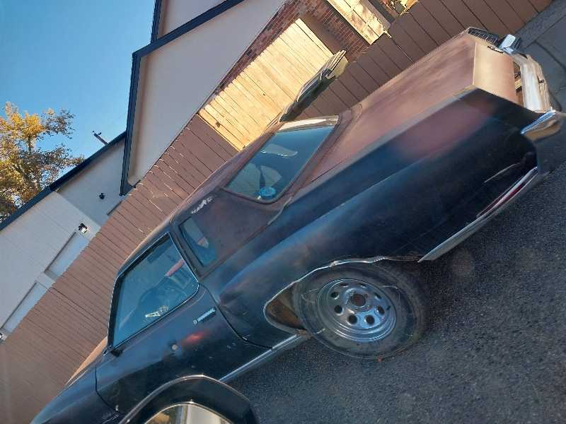 Oldsmobile Cutlass spotted in Thornton