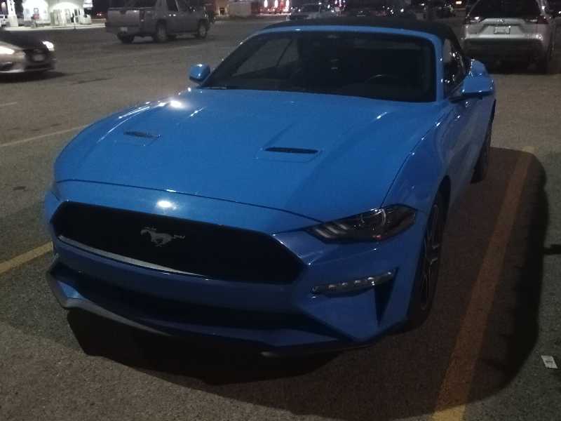 Ford Mustang spotted in Moose Jaw
