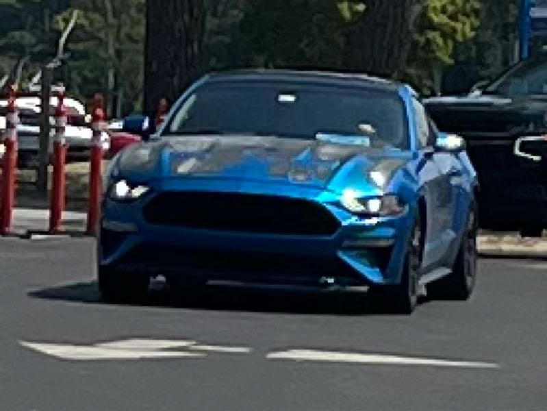 Ford Mustang spotted in New Buffalo