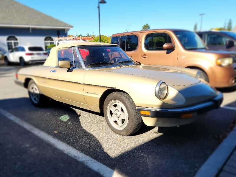 Alfa Romeo Spider spotted in Brunswick