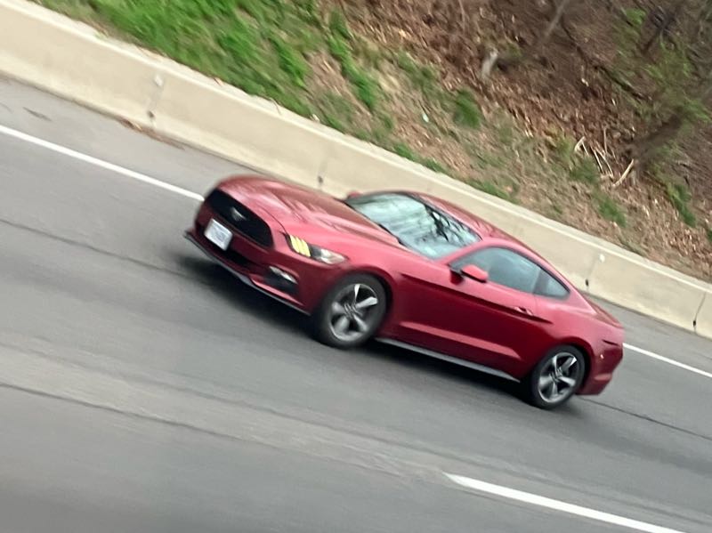 Ford Mustang (2021) spotted in Keysville, United States