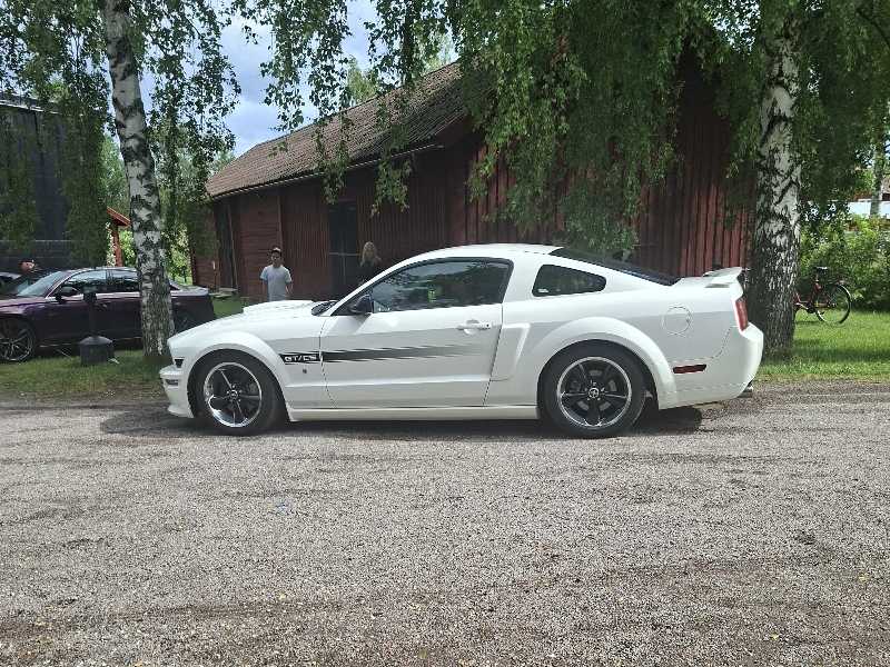 Ford Mustang GT spotted in Rolfs