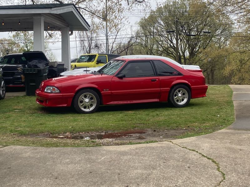 Ford Mustang spotted in Ripley
