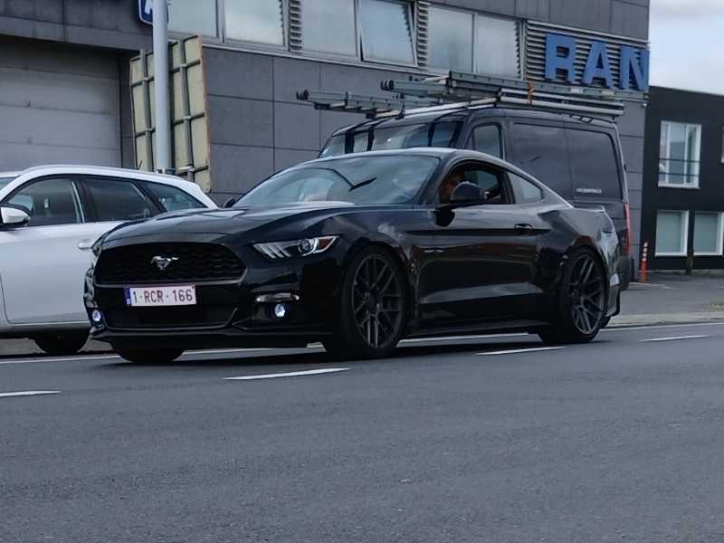 Ford Mustang (2015) spotted in Kortrijk, Belgium